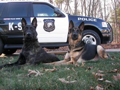 K-9 Radar and Red sitting in front of patrol car