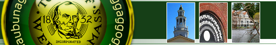 Banner with collage of images from the city